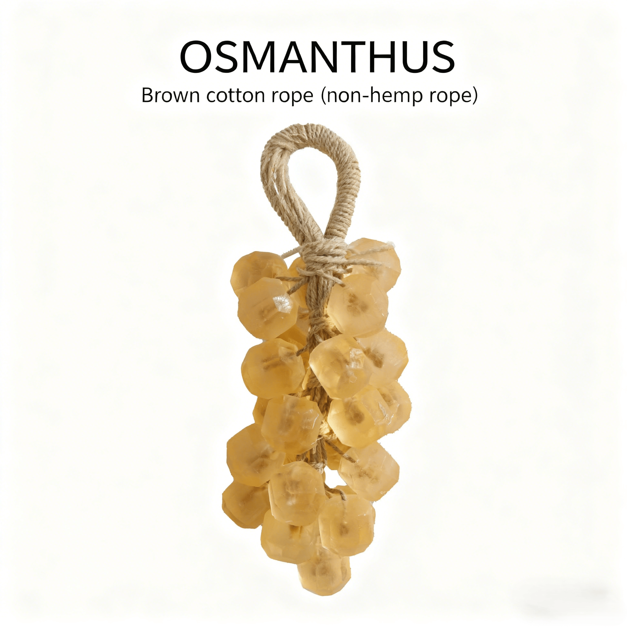 Osmanthus