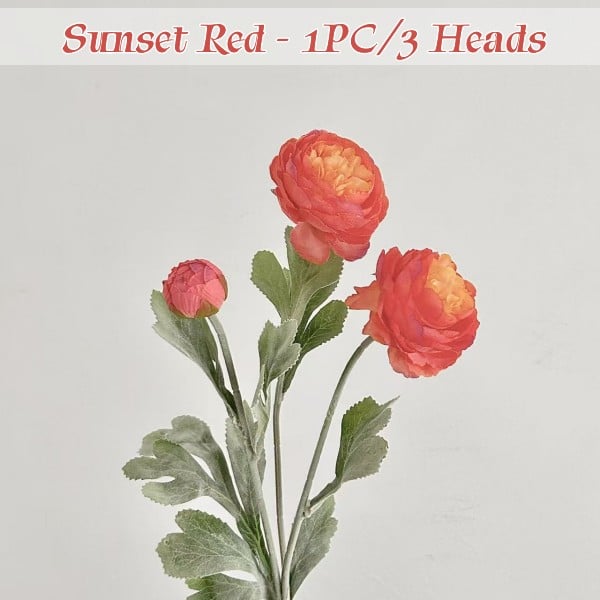 Sunset Red
