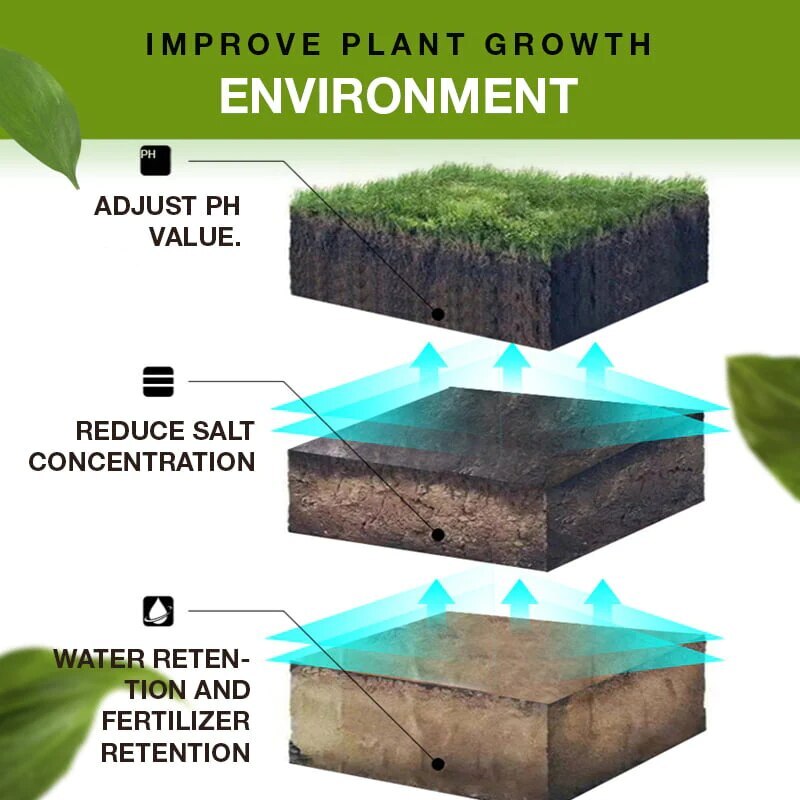 Ignites Growth Potential
