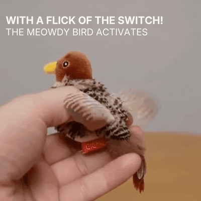 🎅Top Christmas Gift 2025 🎉Flapping Bird Cat Toy😻Cat’s New Playmate