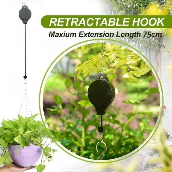 Mess-Free Plant Hanging