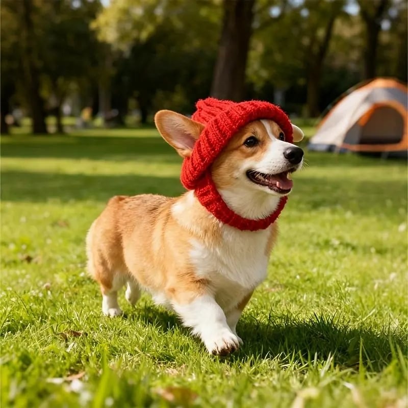 Red Wool Knit Dog Beanie with Ear Flaps – Warm Winter Hat