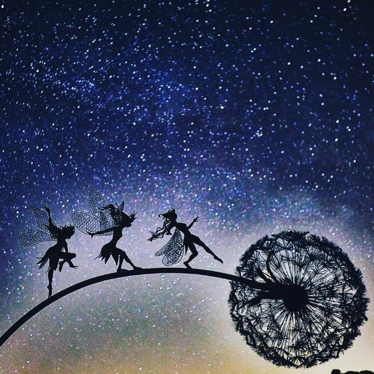 BIG ADVENTURE