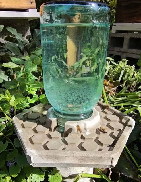 HiveDrink Hydrates Pollinator Life